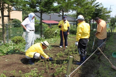 御殿場西中 圃場