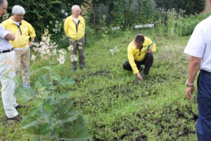 苗木の生育状況の確認