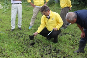 苗木の生育状況の確認