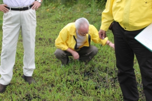 苗木の生育状況の確認